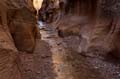 010 USA, Skutumpah Road, Willis Creek